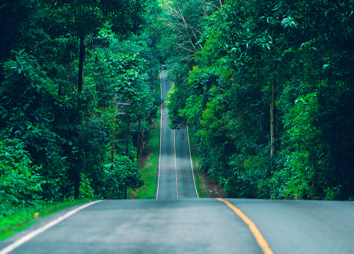 林荫路